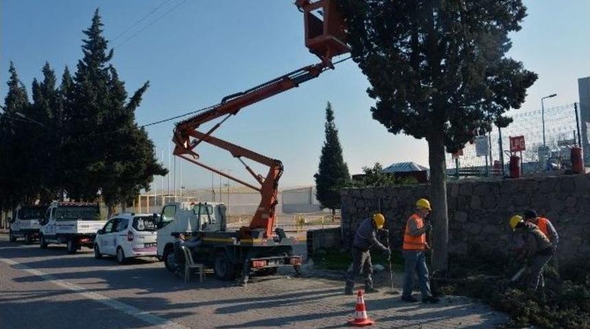 Aşağı&ccedil;obanisa&rsquo; Da Elektrik Kesintilerine &Ccedil;&ouml;z&uuml;m