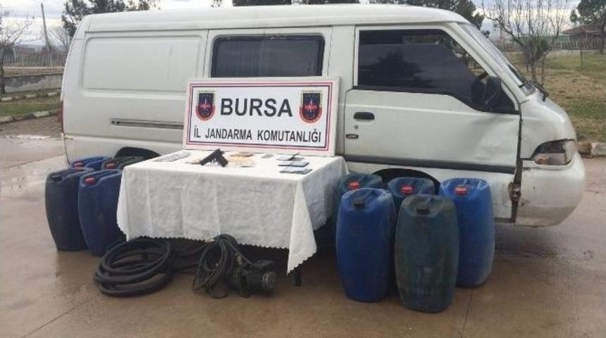 Kamyonlar Dolusu &Ccedil;erez Ve Bunları Taşımak İ&ccedil;in Mazot &Ccedil;aldılar