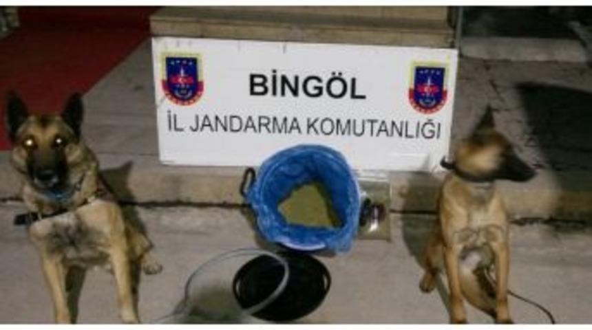 Bingöl’de 6 Kilo Esrar Ele Geçirildi