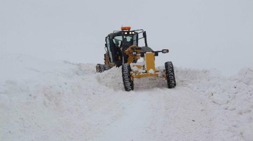 Sivas&rsquo;ta Karla M&uuml;cadele &Ccedil;alışmaları S&uuml;r&uuml;yor