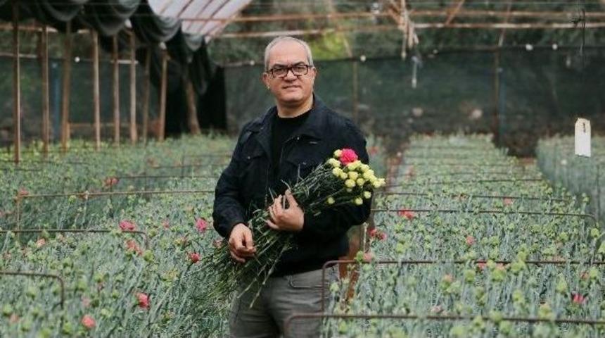 Avrupalı Sevgililere 30 Milyon Dal T&uuml;rk &Ccedil;i&ccedil;eği