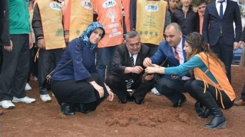 Yeşil Okulla Yeşil Kilis, Okulları Ağa&ccedil;landırma Projesi
