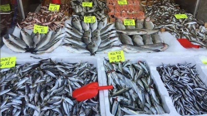 Batı Karadenizde Balık Fiyatları D&uuml;şt&uuml;
