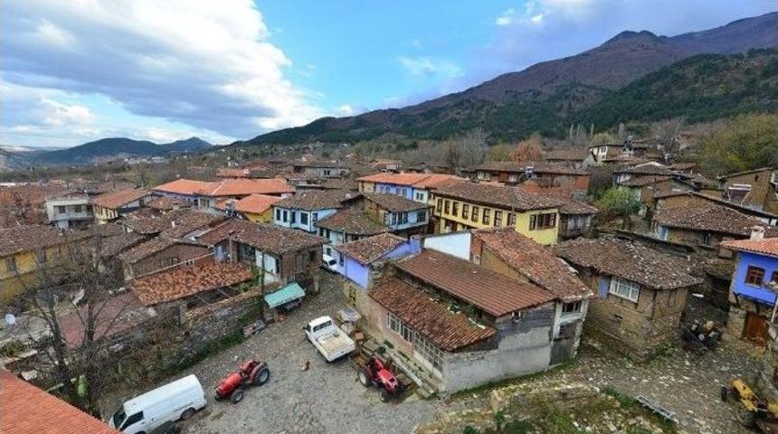 Yıldırım, D&uuml;nya Mirasına Sahip &Ccedil;ıktı
