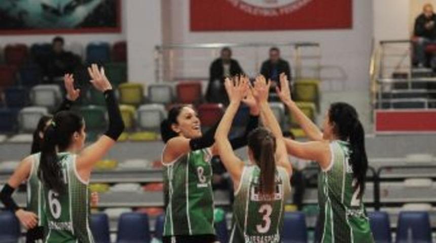 Filenin Timsahları Kayıpsız