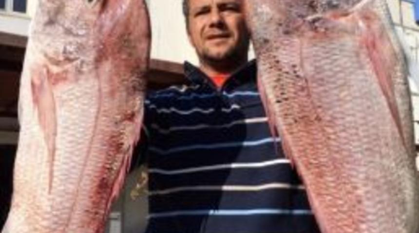 Balıkları Teknesine &Ccedil;ekmek İ&ccedil;in Saatlerce Uğraştı