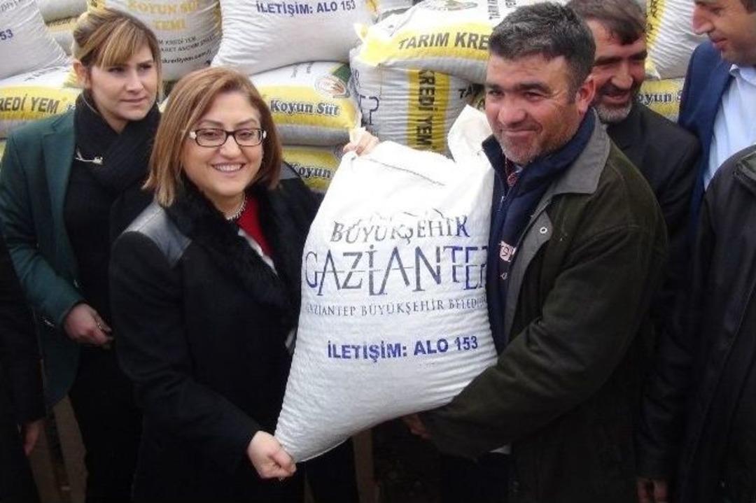 İslahiye&rsquo;de 436 &Ccedil;ift&ccedil;iye 218 Ton Yem Dağıtıldı