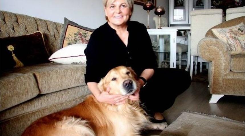 (&ouml;zel Haber) Apartmanda Beslenen K&ouml;pek Mahkemelik Oldu