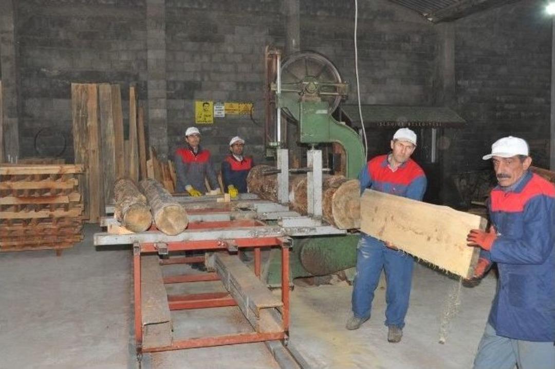 Eski Bakan Fatma Şahin, Hızarcı Oldu