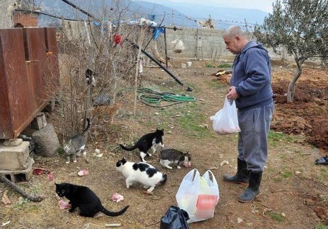 Kendini Sokak Hayvanlarına Adayan Emekli Polis