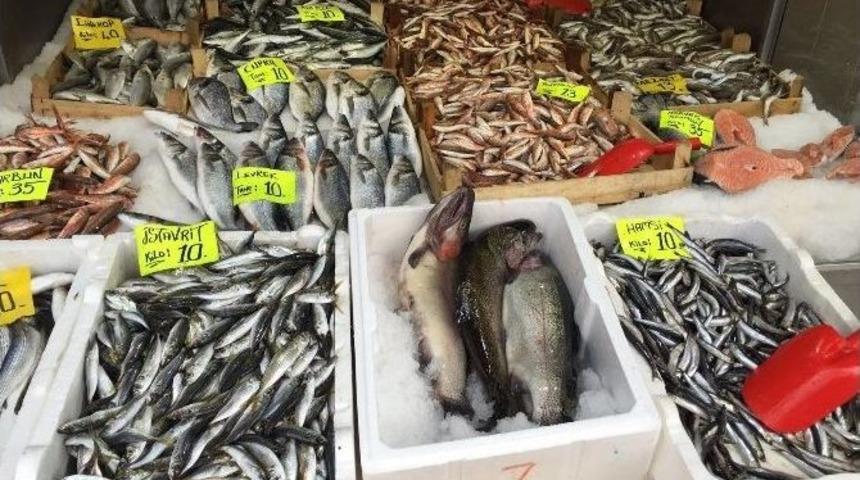 Kalkan Balığının Kilosu 90 Lira Oldu