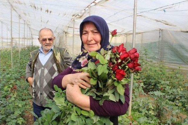 Çiçek Üreticisi Eşten 42 Yıl Sonra İlk Gül