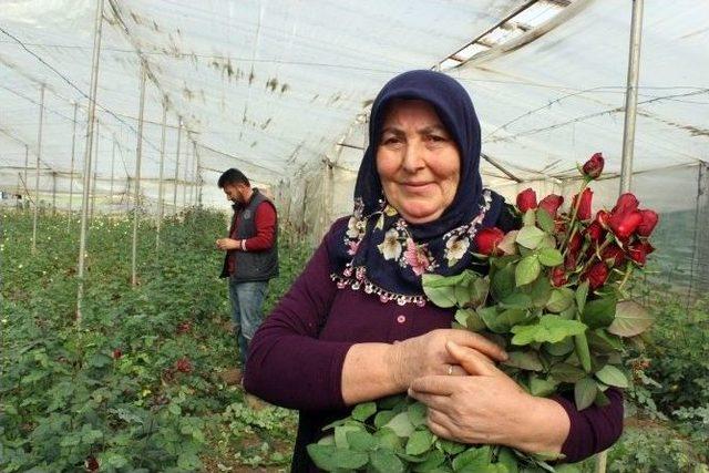 Çiçek Üreticisi Eşten 42 Yıl Sonra İlk Gül