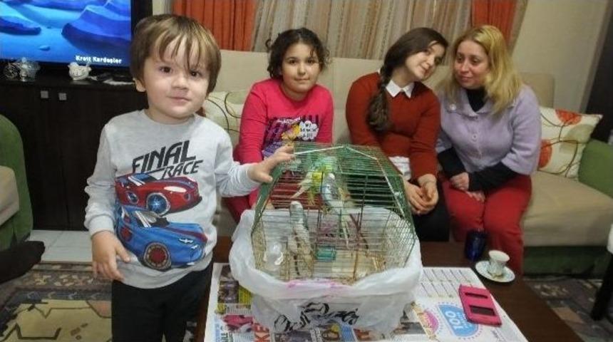 Arkadaşlarına Hayvan Sevgisi Aşıladı