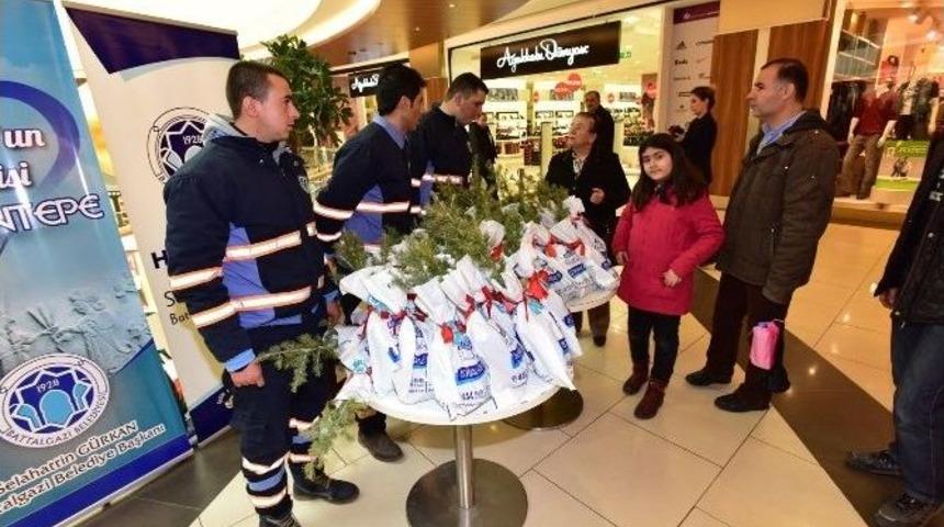 Vatandaşlara 500 Adet Fidan Dağıtıldı