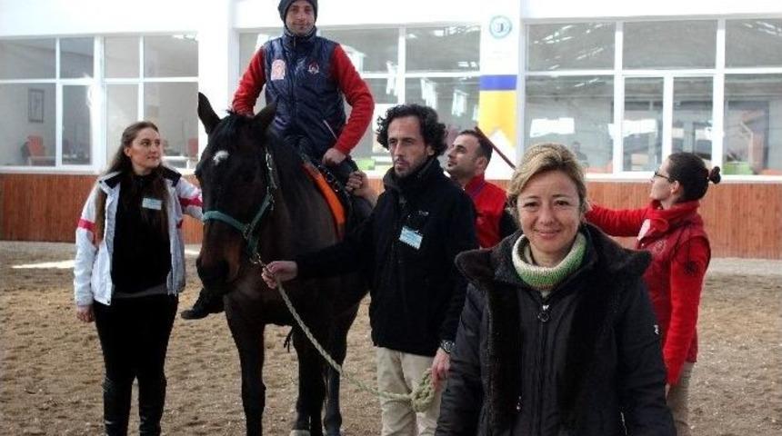 Terapilerde Neden Kaplumbağa Değil De At Kullanılıyor