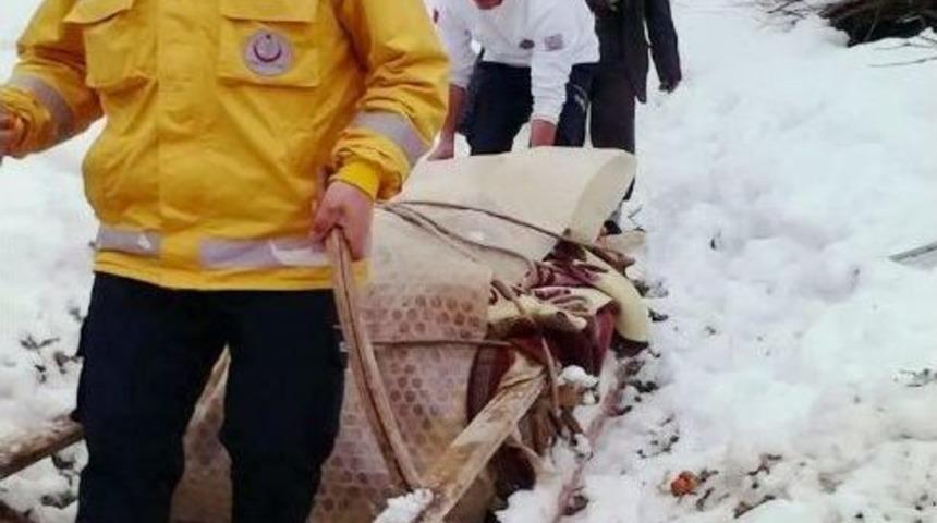 Kızakla Hayat Kurtarma Operasyonu