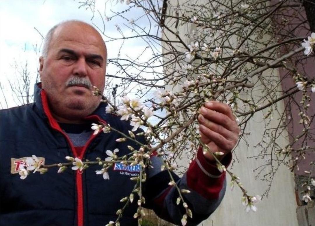 Sarıg&ouml;l&rsquo;de Şubat Baharı Tedirgin Etti