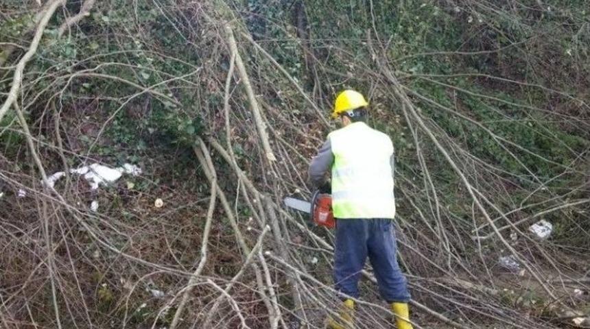 G&ouml;lyaka&rsquo;da Ormanda &Ccedil;alışma