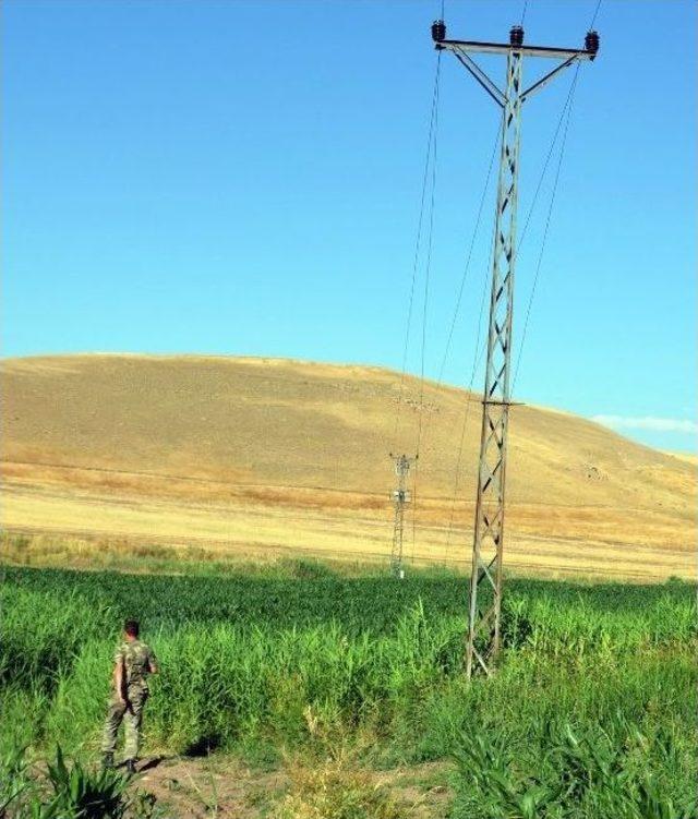 300 Liralık Kazanç İçin 3 Bin 346 Liralık Elektrik Harcanıyor