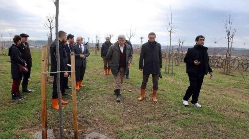 Şampiyon Sporculara Kupaları K&ouml;şker&rsquo;den