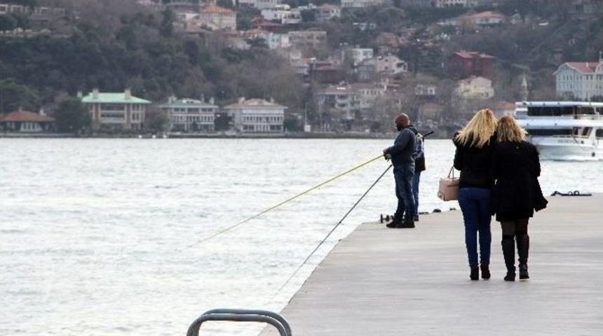 Bahardan Kalma Havayı G&ouml;ren Sahile Akın Etti