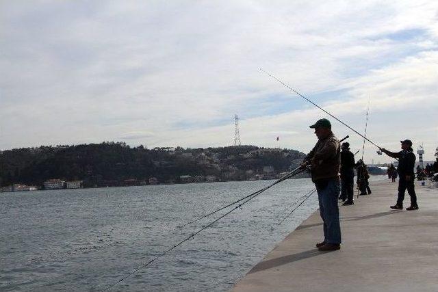 Bahardan Kalma Havayı G&ouml;ren Sahile Akın Etti 1