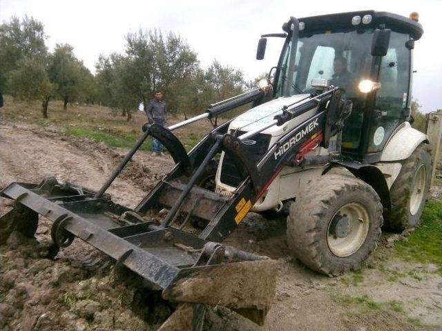 ‘dilek’leri Bir Günde Oldu