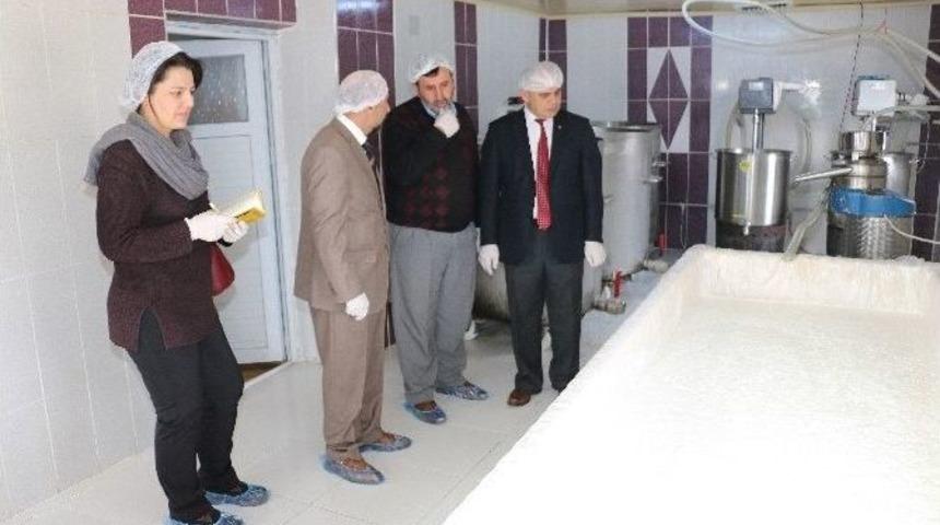 Yahyalı S&uuml;ty&uuml;z&uuml;yle &Ouml;zdeşleşmek İstiyor