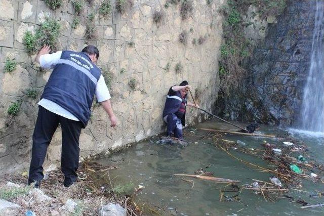 Derede Mahsur Kalan Köpek Kurtarıldı