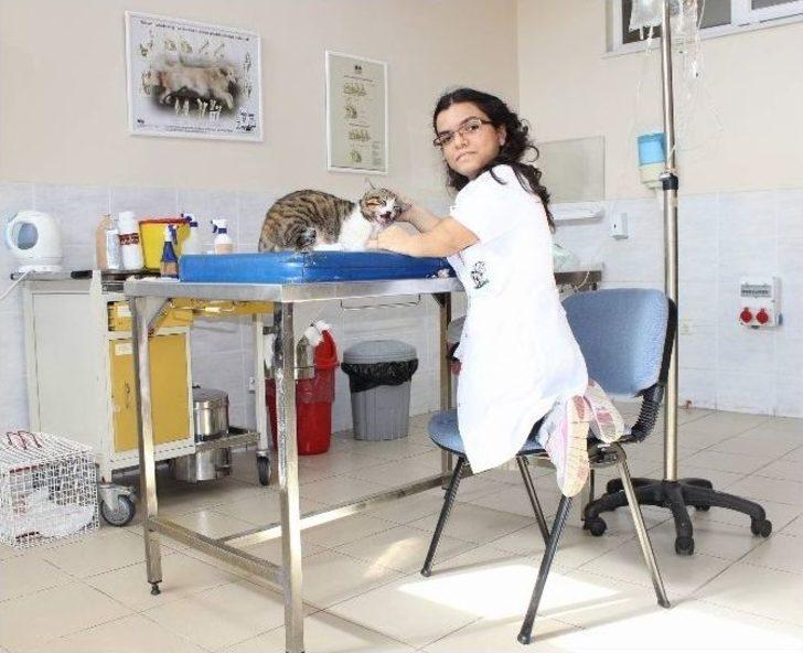 (özel Haber) 1 Metrelik Boyuyla Bütün Zorlukları Aşıp Veteriner Oldu Ama Kanunu Aşamadı G1