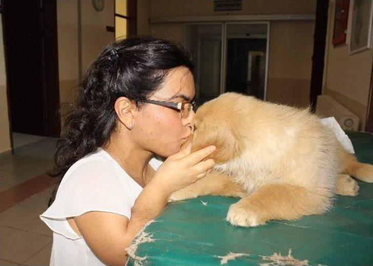 (özel Haber) 1 Metrelik Boyuyla Bütün Zorlukları Aşıp Veteriner Oldu Ama Kanunu Aşamadı G4