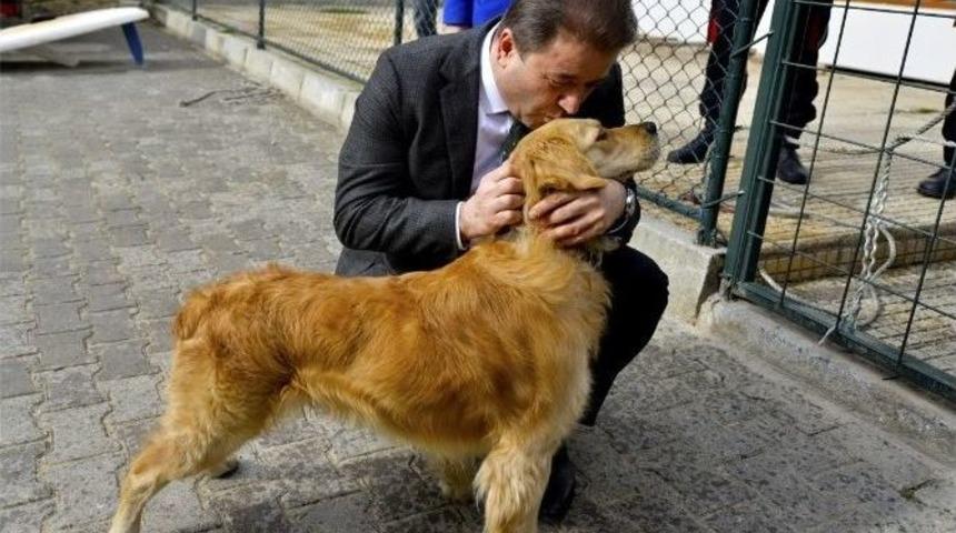 Maltepe&rsquo;de Sokak K&ouml;pekleri Eğitilerek, Arama Kurtarma &Ccedil;alışmalarında G&ouml;revlendiriliyor