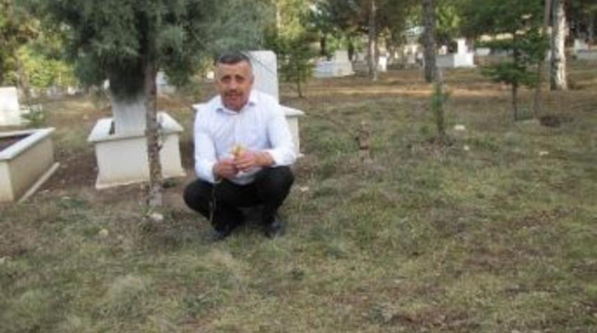 Baharın M&uuml;jdecisi &Ccedil;iğdemler &Ccedil;i&ccedil;ek A&ccedil;tı