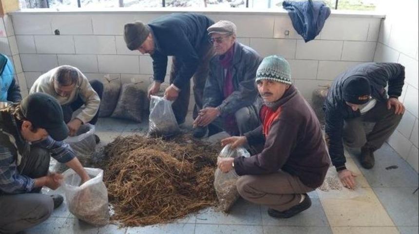 İvrindi&rsquo;de &Ccedil;ift&ccedil;iler Mantar &Uuml;reticisi Olacak