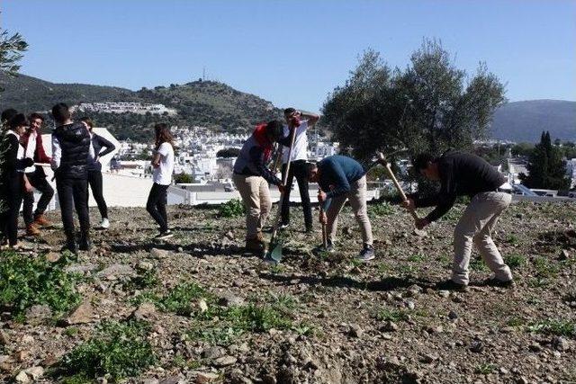 Bodrumlu Liselilerin Doğa Ve Tarih Sevgisi