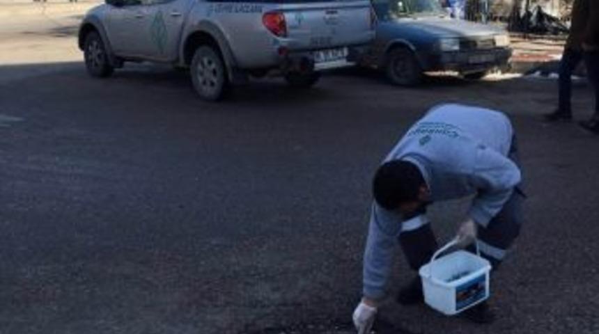 40 G&uuml;n Etkili İla&ccedil; &Ccedil;ankaya&rsquo;da