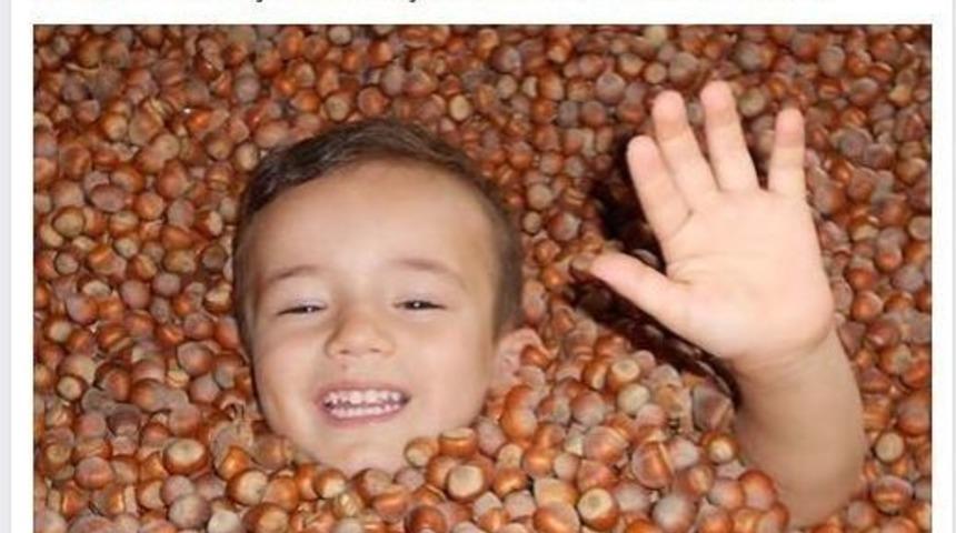 Fındık &Uuml;reticisinden İlgin&ccedil; Uğraşlar