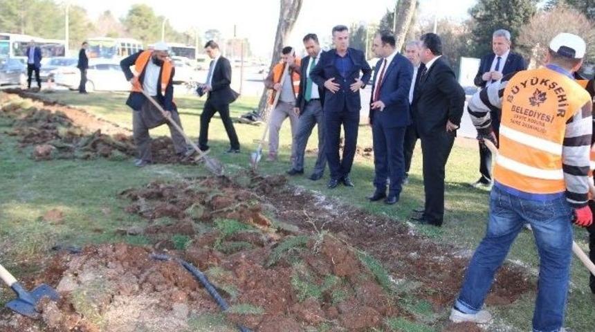 Peygamberler Şehri G&uuml;llerle Donatılıyor