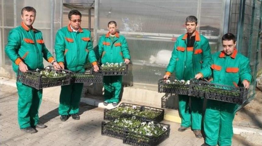 Engelli &Ouml;ğrencilerin Yetiştirdiği Bitkiler Denizli&rsquo;yi S&uuml;sl&uuml;yor