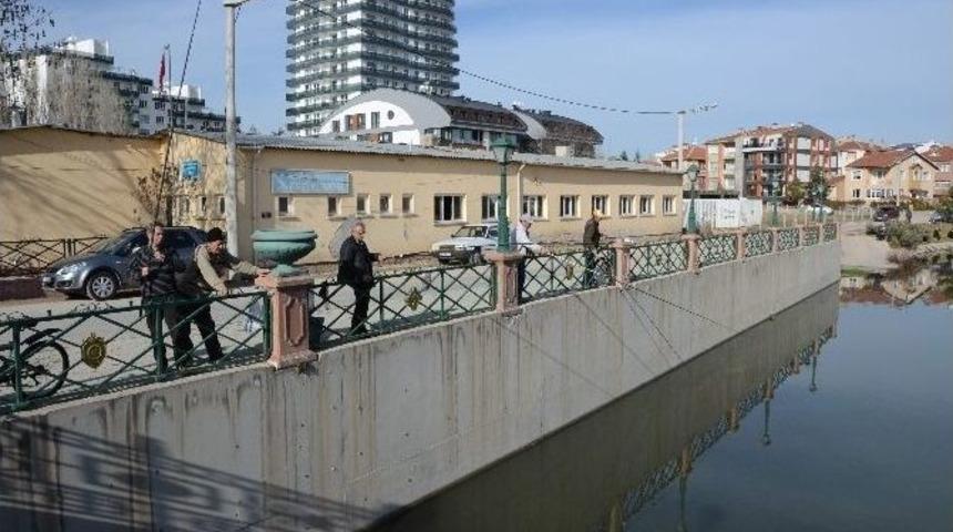 Oltalar Porsuk &Ccedil;ayına