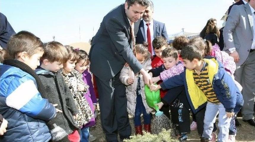 Tokat&rsquo;ta &ldquo;20 Bin Fidan 20 Bin Can&rdquo; Projesi