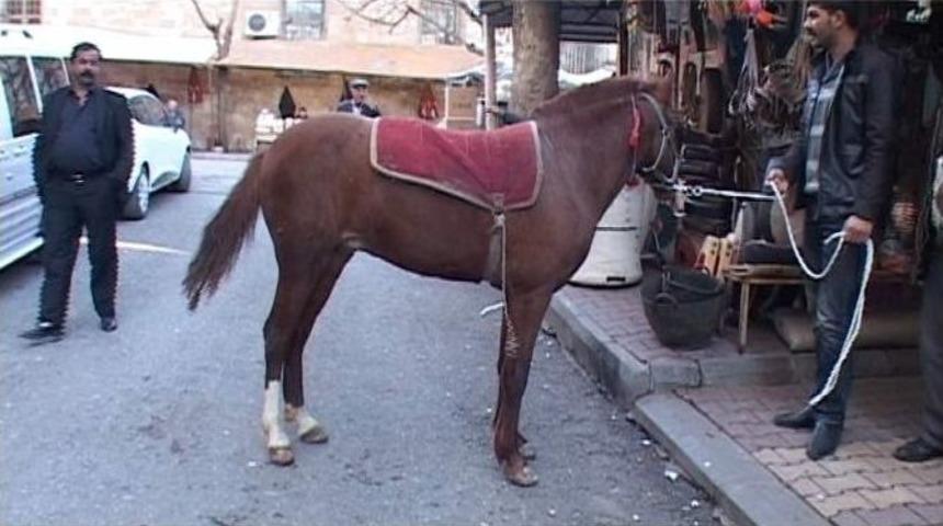 Adıyaman&rsquo;da, Nalbant Mesleği Tarihe Karışıyor