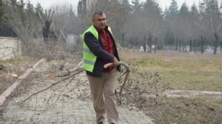 Asri Mezarlık&rsquo;ta Ağa&ccedil; Budama &Ccedil;alışması