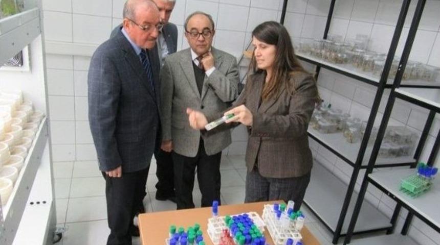 Vali Kocatepe&rsquo;den Pa&uuml; Biyom&rsquo;a Ziyaret