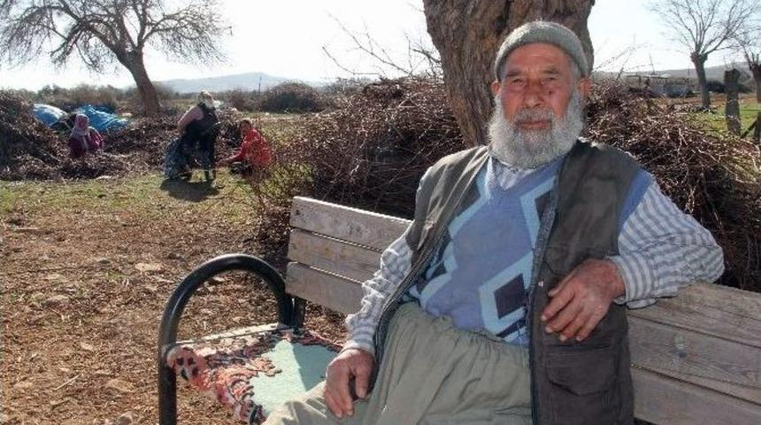 Sınırdaki Hayatlar