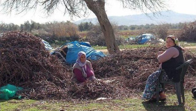 Sınırdaki Hayatlar