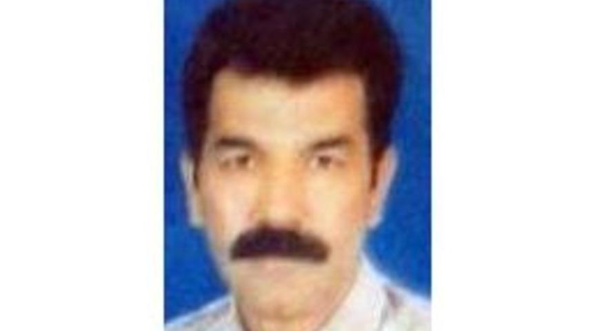 Kuş Kavgası Kanlı Bitti