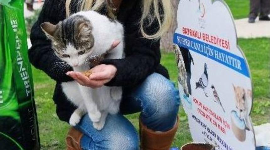 Bayraklı&rsquo;da Sokak Hayvanlarına &Ouml;zel İlgi