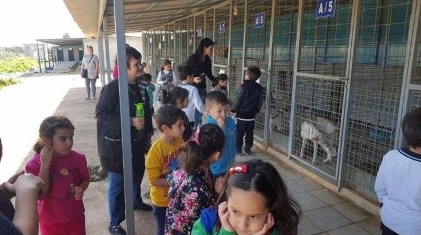 Didimli Miniklerden Barınağa Mama Bağışı